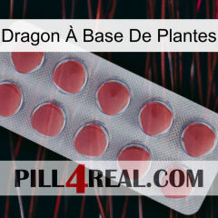 Dragon À Base De Plantes 18